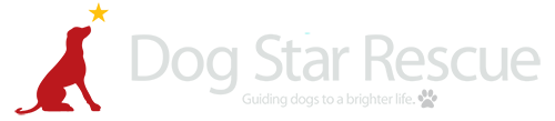 Dog Star Rescue